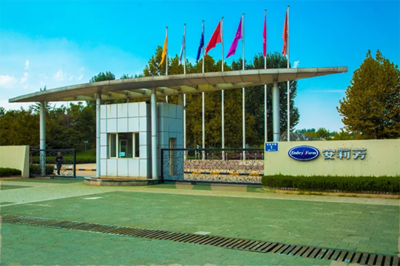 安莉芳(山東)服裝入選山東省第二批產教融合型企業