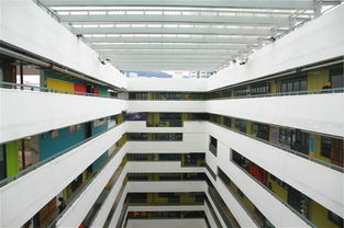 多元藝術(shù) 點亮香港人文情懷——輕工之美的交融與新生