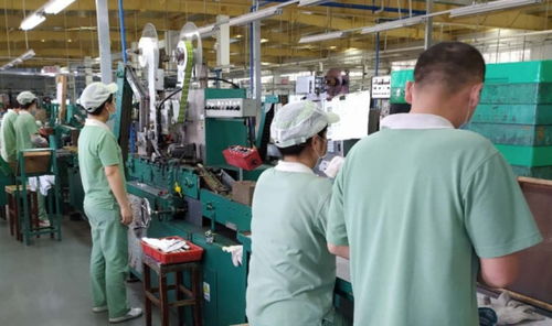 廣州輕工集團(tuán) 以創(chuàng)新驅(qū)動(dòng)高質(zhì)量發(fā)展，譜寫(xiě)輕工業(yè)新篇章